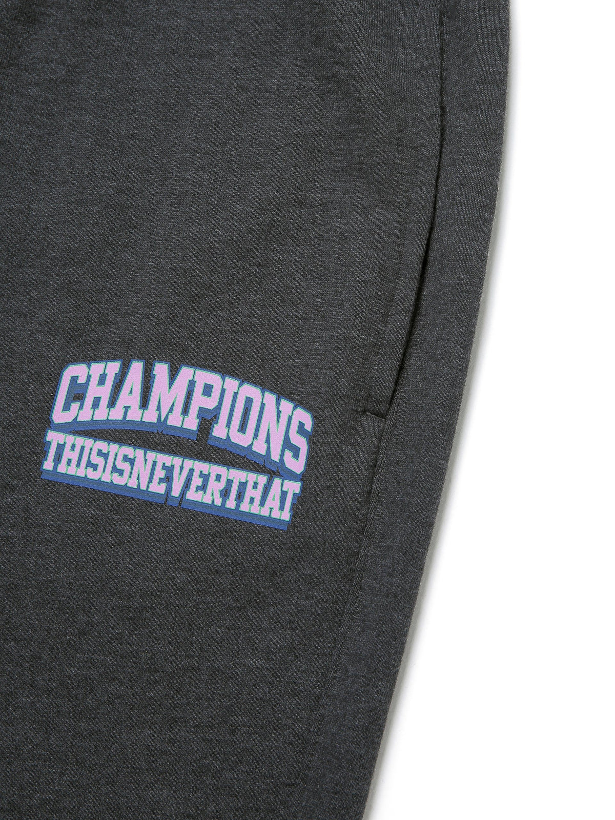 Champions Sweatpant Pants 