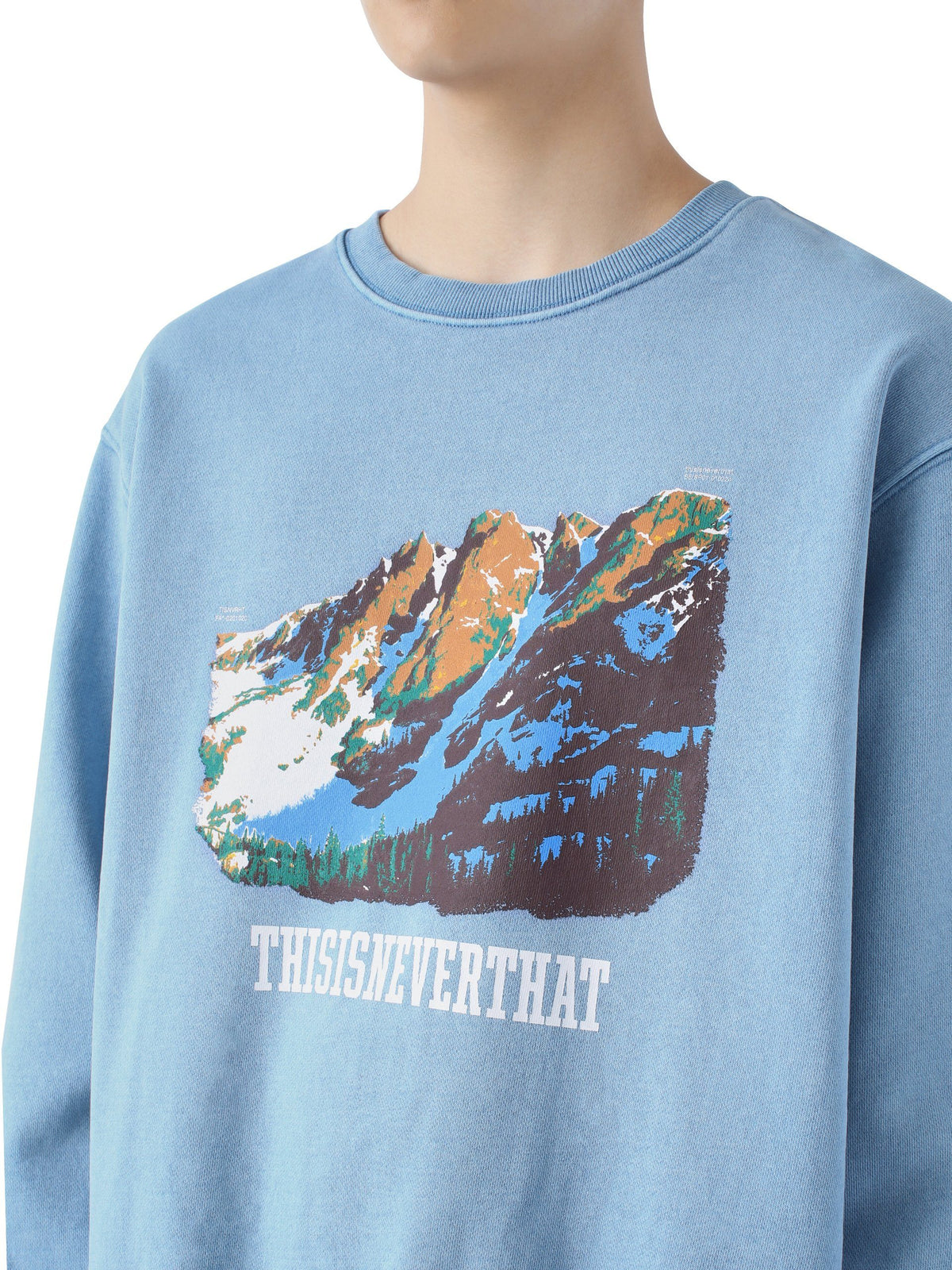 Mountain Crewneck Sweatshirts 