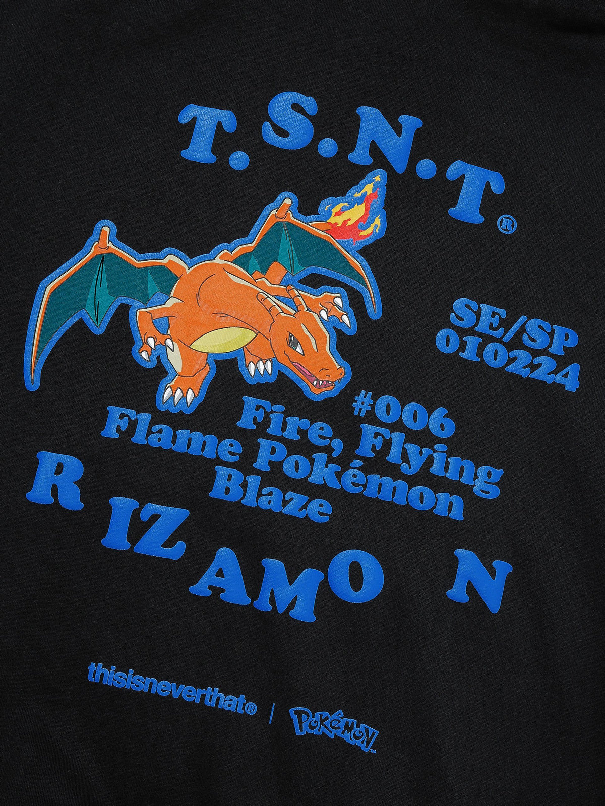 Pokemon Rizamon Hooded Sweatshirt Sweatshirts 