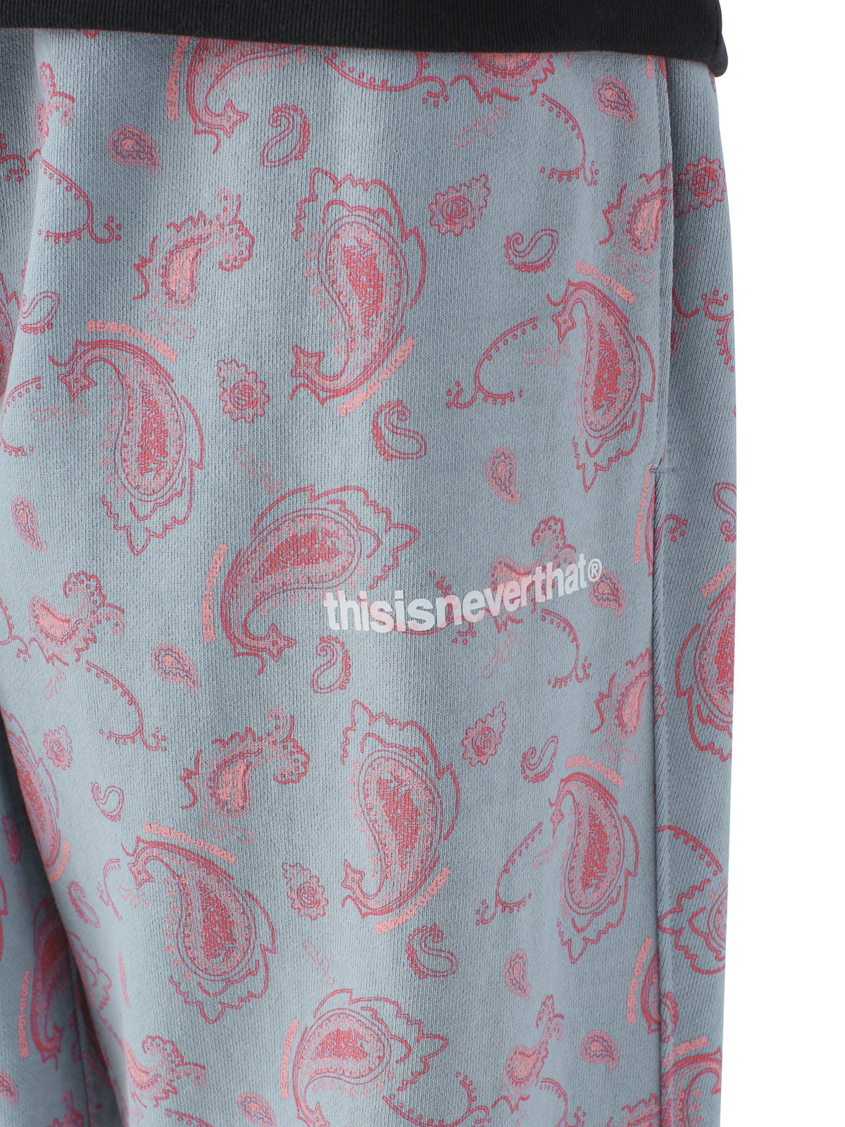 Paisley Sweatpant Pants 